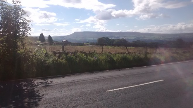 IMG_20160731_091231547